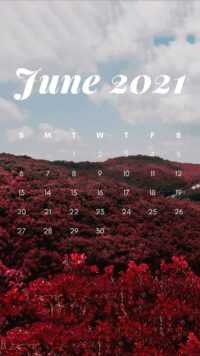 2021 June Calendar Wallpaper 9