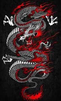 Japanese Dragon Wallpaper 2