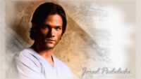 4K Jared Padalecki Wallpaper 7