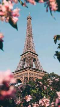 Eiffel Tower Wallpapers 7