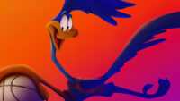 Road Runner Space Jam Wallpaper 8