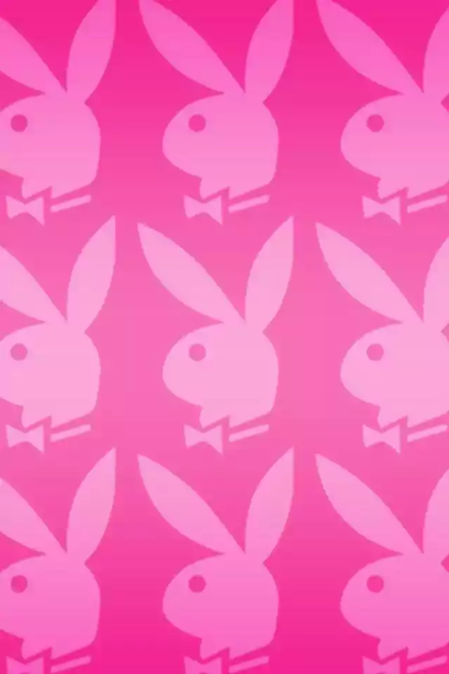 Playboy Bunny - KoLPaPer - Awesome Free HD Wallpapers
