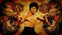 Bruce Lee HD Wallpaper 8