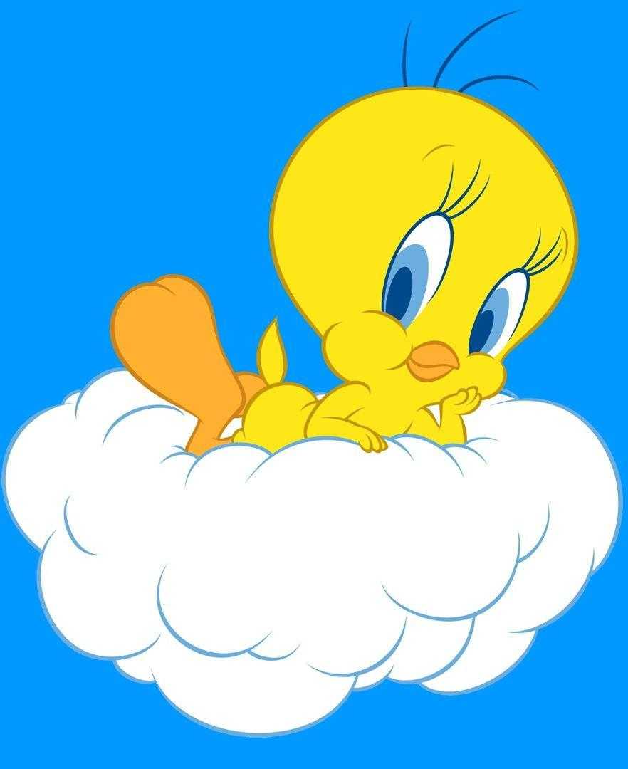 Hd Tweety Wallpaper Kolpaper Awesome Free Hd Wallpapers