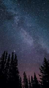 Night Sky Wallpaper 5