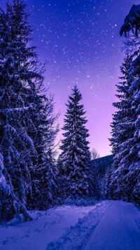 Winter Wallpaper 3