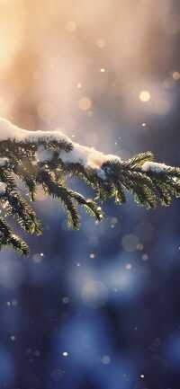 HD Winter Wallpaper 7