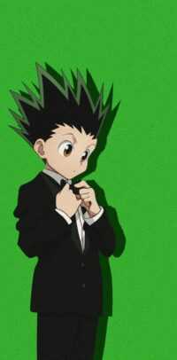 Gon Freecss Background 5