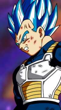 Vegeta Wallpaper 9