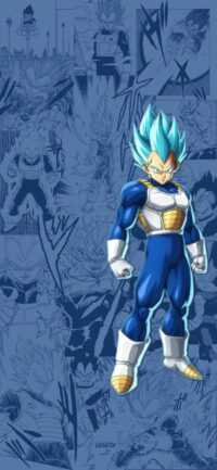 Vegeta Background 7