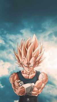 Vegeta Background 8