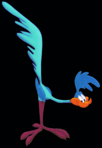 Road Runner Wallpaper 10