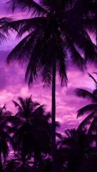 Purple Wallpaper 2