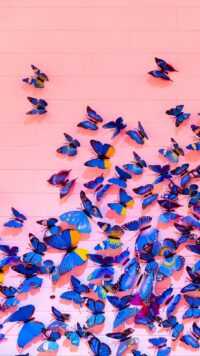 Butterfly Wallpaper 4