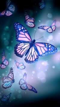 Butterfly Wallpaper 3