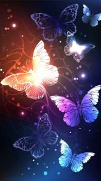 Butterfly Wallpaper 2