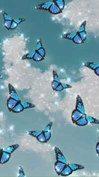 Butterfly Wallpaper 6