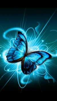 Butterfly Wallpaper 9