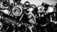 Harley Davidson Wallpaper 2