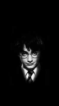 Harry Potter Wallpaper 2