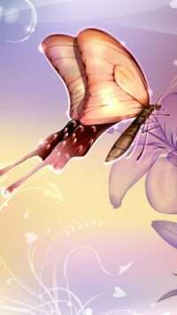 Butterfly Wallpaper 6