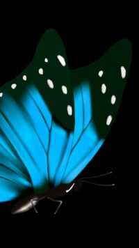 Butterfly Wallpaper 5