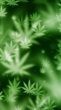 Weed Wallpaper 7