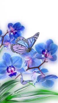 Butterfly Wallpaper 9