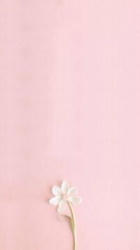 Light Pink Wallpaper 10