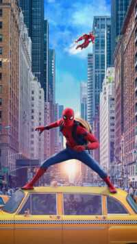 Spider Man Wallpaper 9