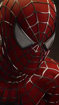 Spiderman Wallpaper 7