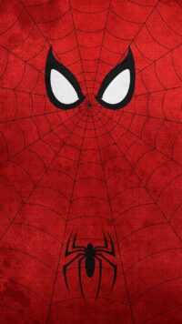 Spiderman Wallpaper 5