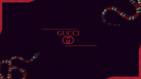 Gucci Wallpaper 2