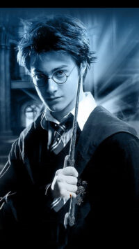 Harry Potter Wallpaper 1