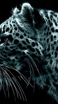 Jaguar Wallpaper 8