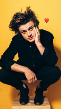 Steve Harrington Wallpaper 9