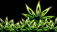 Weed Wallpaper 7