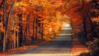 Autumn Wallpapers 4