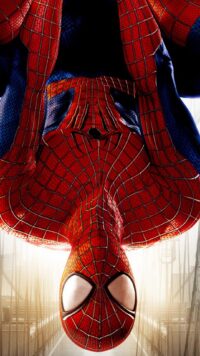 Spider Man Wallpaper 9