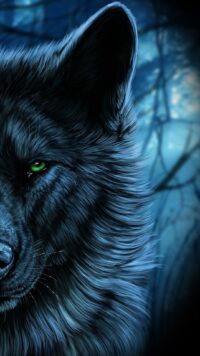 Wolf Wallpaper 2