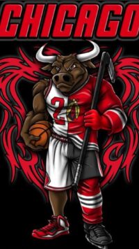 Chicago Bulls Wallpaper 2