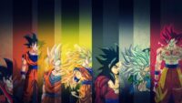 Dragon Ball Z Wallpaper 7