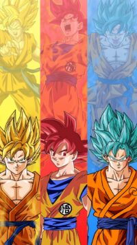 Dragon Ball Z Wallpaper 6