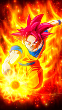 Dragon Ball Z Wallpaper 2