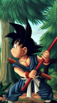 Dragon Ball Z Wallpaper 1