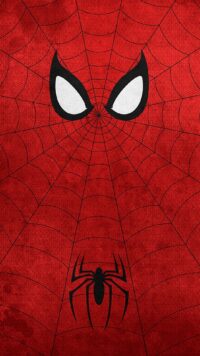 Spiderman Wallpaper 6