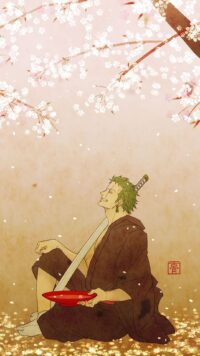 Zoro Wallpaper 6