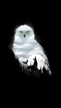 Harry Potter Wallpaper 6