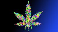 Weed Wallpaper 1