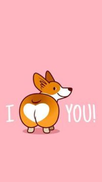 Corgi Wallpaper 4